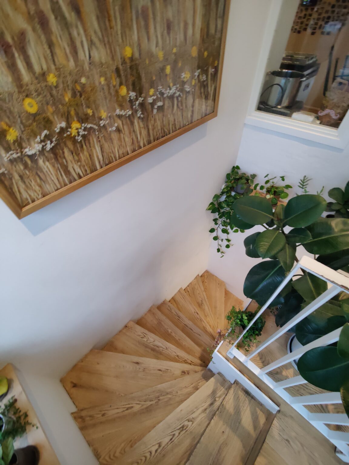 trapper i træ og planter